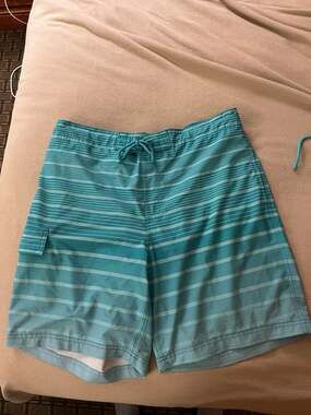George Men's Teal Ombre Striped Swim Trunks Board Shorts Size Large 36-38
